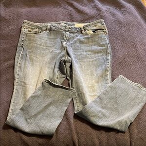 Vince Camuto Straight Leg Jeans in Blue Denim